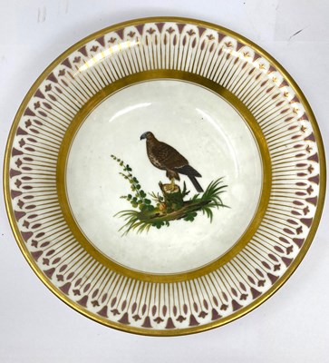 Lot 18 - A PARIS PORCELAIN (PIERRE-LOUIS DAGOTY) ORNITHOLOGICAL PART DESSERT SERVICE, CIRCA 1810