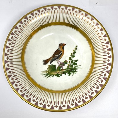 Lot 18 - A PARIS PORCELAIN (PIERRE-LOUIS DAGOTY) ORNITHOLOGICAL PART DESSERT SERVICE, CIRCA 1810