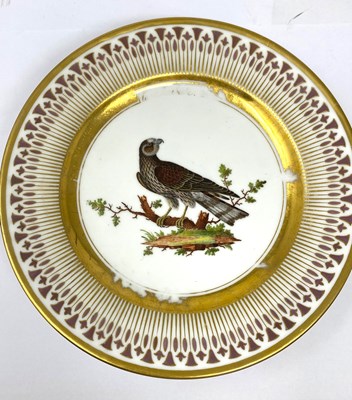 Lot 18 - A PARIS PORCELAIN (PIERRE-LOUIS DAGOTY) ORNITHOLOGICAL PART DESSERT SERVICE, CIRCA 1810