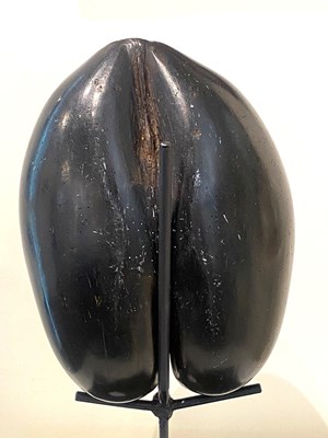 Lot 78 - A COCO DE MER (LODOICEA MALDIVICA), SEYCHELLES, 20TH CENTURY