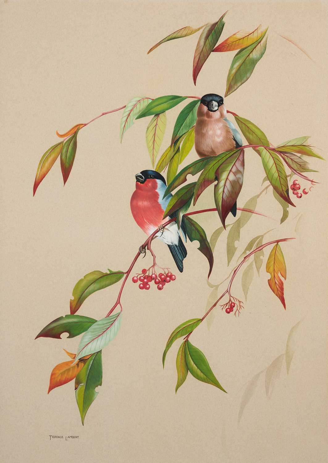 Lot 496 - TERENCE LAMBERT (BRITISH B.1951)