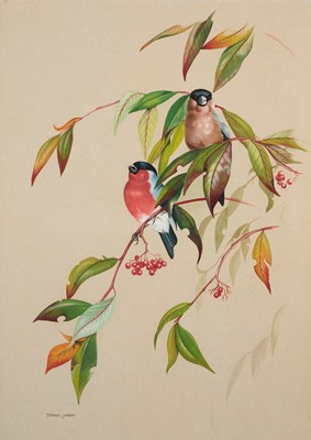 Lot 371 - TERENCE LAMBERT (BRITISH B.1951)