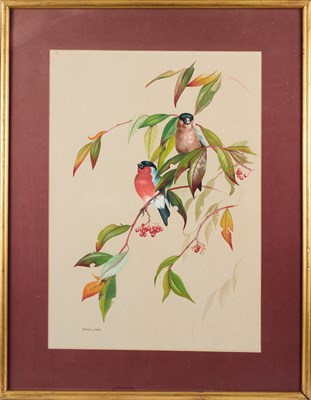 Lot 496 - TERENCE LAMBERT (BRITISH B.1951)