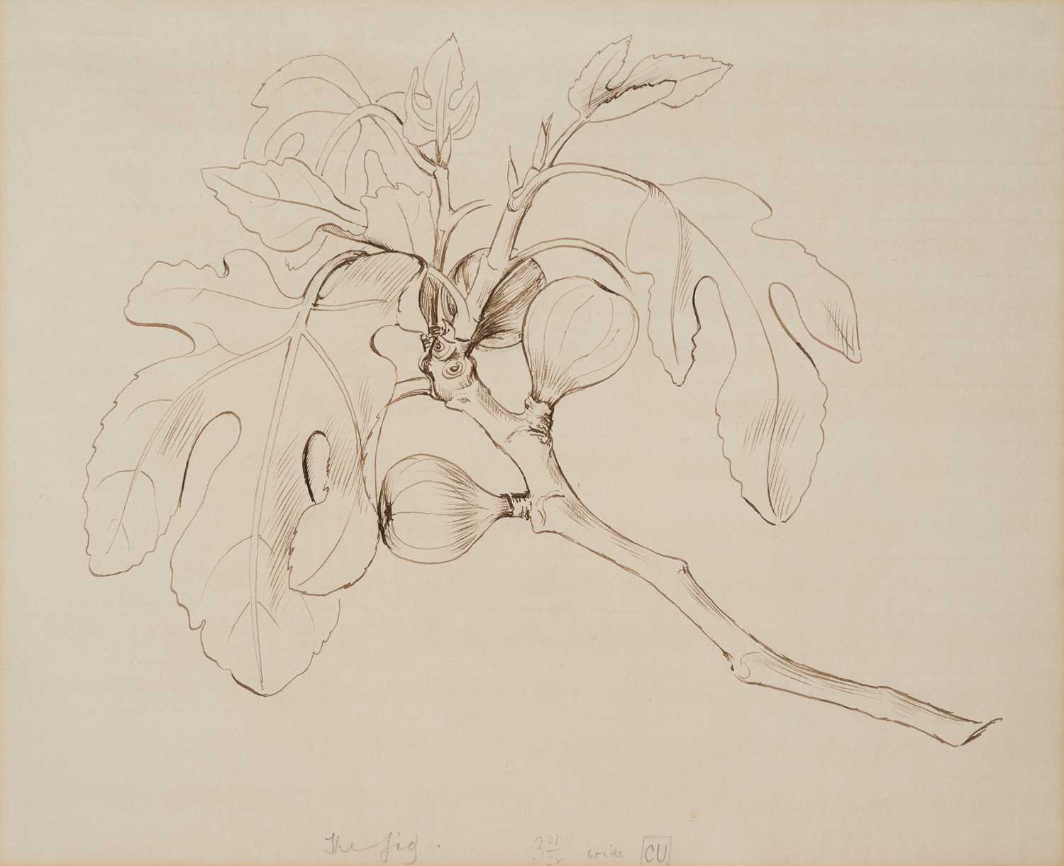 Lot 12 - HELEN KAPP (BRITISH 1901-1978)