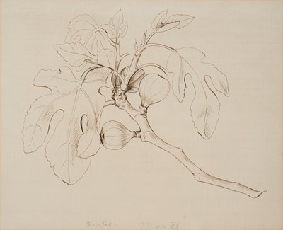 Lot 12 - HELEN KAPP (BRITISH 1901-1978)