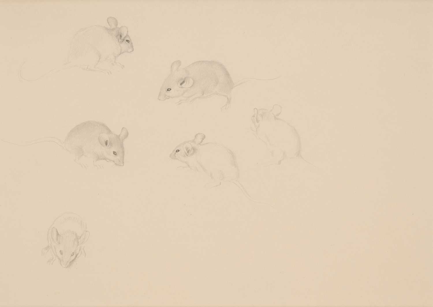 Lot 62 - EDMUND DULAC (FRENCH-BRITISH 1882-1953)