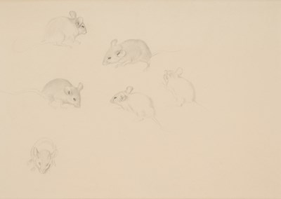 Lot 62 - EDMUND DULAC (FRENCH-BRITISH 1882-1953)