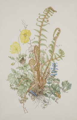 Lot 401 - MARY GRIERSON (BRITISH 1912-2012)