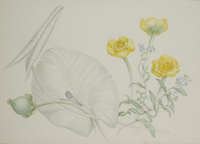 Lot 401 - MARY GRIERSON (BRITISH 1912-2012)