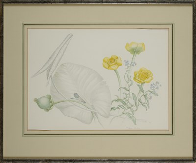 Lot 401 - MARY GRIERSON (BRITISH 1912-2012)