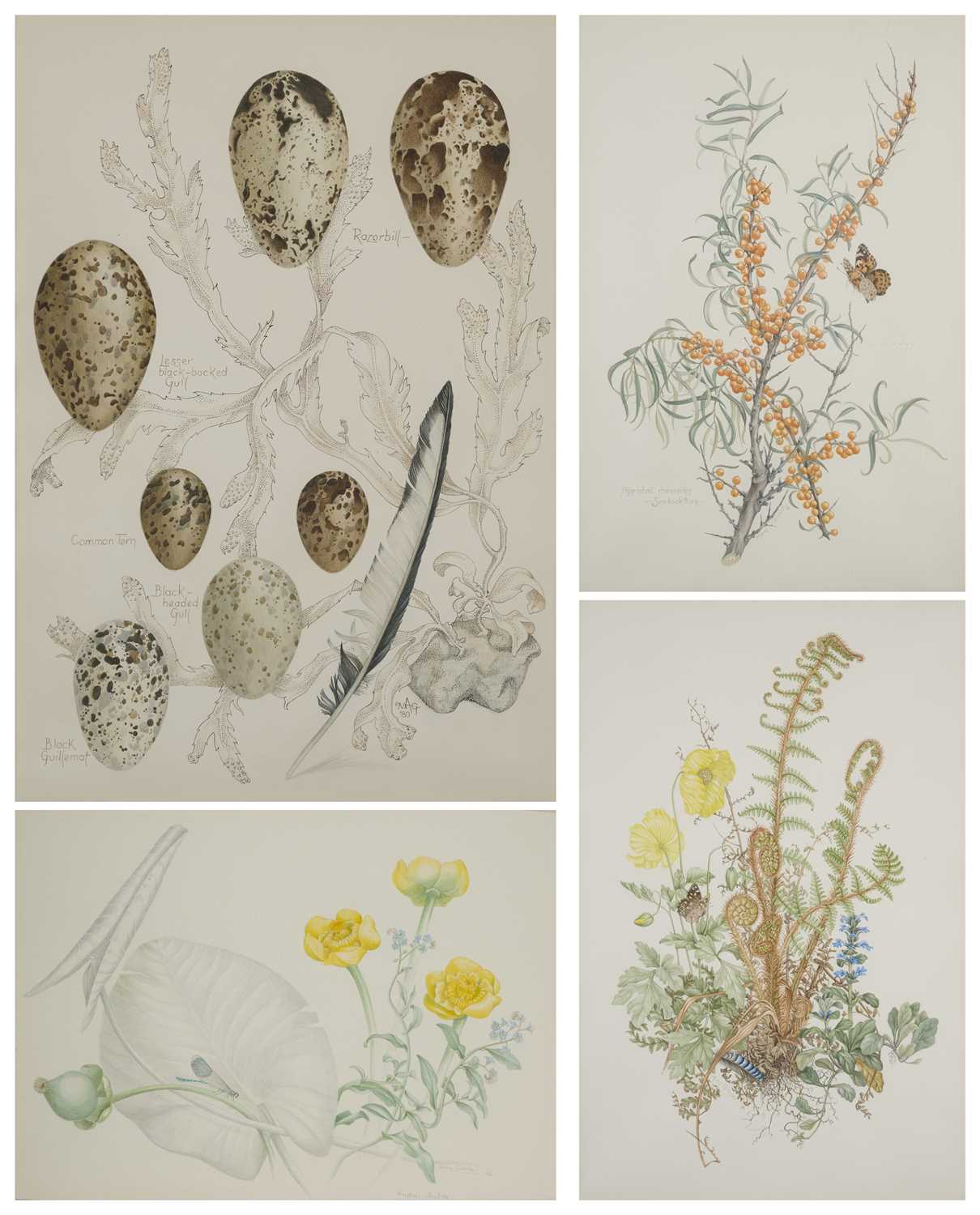 Lot 401 - MARY GRIERSON (BRITISH 1912-2012)