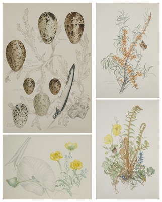 Lot 401 - MARY GRIERSON (BRITISH 1912-2012)