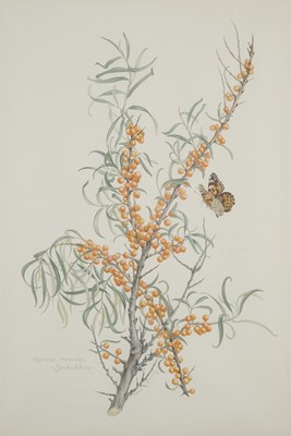 Lot 401 - MARY GRIERSON (BRITISH 1912-2012)