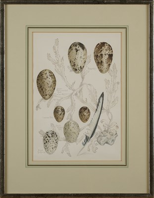 Lot 401 - MARY GRIERSON (BRITISH 1912-2012)