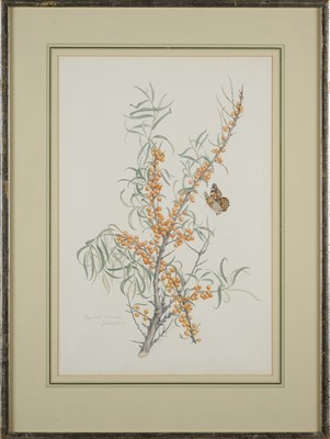 Lot 401 - MARY GRIERSON (BRITISH 1912-2012)