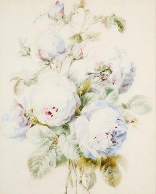 Lot 404 - ATTRIBUTED TO PIERRE-JOSEPH REDOUTE (BELGIUM 1759-1840)
