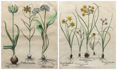 Lot 414 - BASILIUS BESSLER (DUTCH 1561-1629)