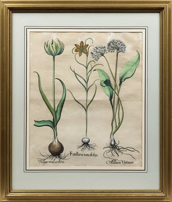 Lot 414 - BASILIUS BESSLER (DUTCH 1561-1629)