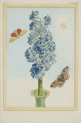Lot 415 - AFTER PIERRE JOSEPH BUC'HOZ (FRENCH 1731-1807)