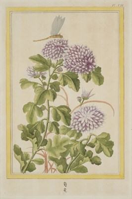 Lot 415 - AFTER PIERRE JOSEPH BUC'HOZ (FRENCH 1731-1807)