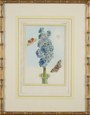 Lot 415 - AFTER PIERRE JOSEPH BUC'HOZ (FRENCH 1731-1807)