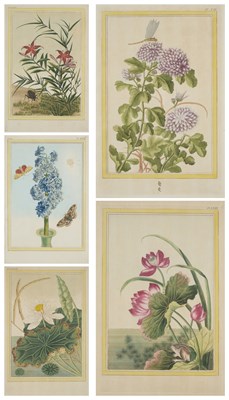 Lot 415 - AFTER PIERRE JOSEPH BUC'HOZ (FRENCH 1731-1807)