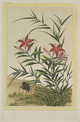Lot 415 - AFTER PIERRE JOSEPH BUC'HOZ (FRENCH 1731-1807)