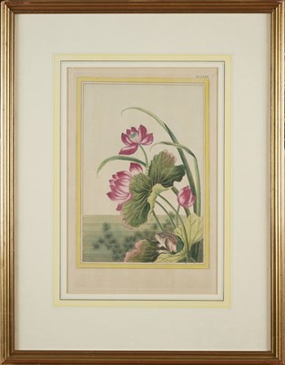 Lot 415 - AFTER PIERRE JOSEPH BUC'HOZ (FRENCH 1731-1807)