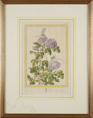 Lot 415 - AFTER PIERRE JOSEPH BUC'HOZ (FRENCH 1731-1807)
