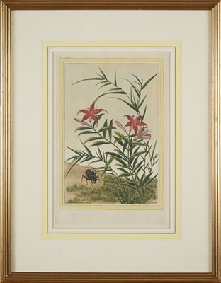Lot 415 - AFTER PIERRE JOSEPH BUC'HOZ (FRENCH 1731-1807)