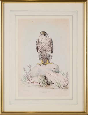 Lot 402 - WILLIAM BRODRICK (BRITISH 1814-1888)