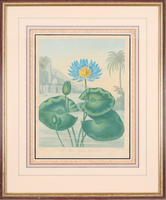 Lot 403 - AFTER PETER CHARLES HENDERSON (ACTIVE 1791-1829)