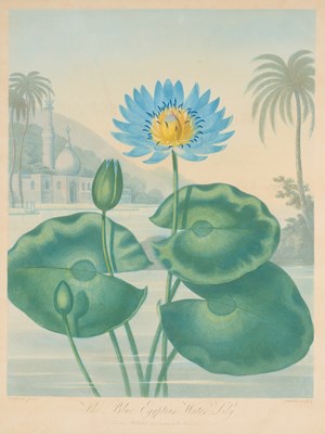 Lot 403 - AFTER PETER CHARLES HENDERSON (ACTIVE 1791-1829)