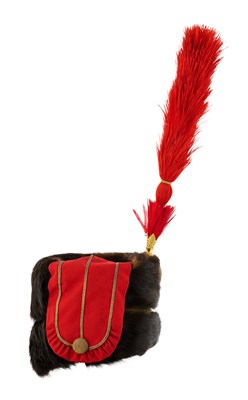 Lot 183 - A GOOD HUSSAR OFFICER'S BUSBY