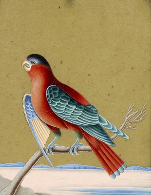 Lot 56 - A PARAKEET PERCHED ON A BRANCH, PATNA, CIRCA 1850-60