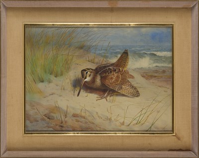 Lot 71 - ARCHIBALD THORBURN (SCOTTISH 1860-1935)