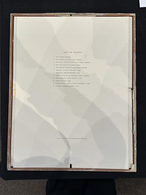 Lot 74 - K. LAXMA GOUD (b.1940)