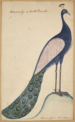 Lot 62 - A DRAWING OF ELLORA AND ANOTHER OF A WILD PEACOCK, BY CAPTAIN W. H. SYKES, INDIA, EARLY 19TH CENTURY