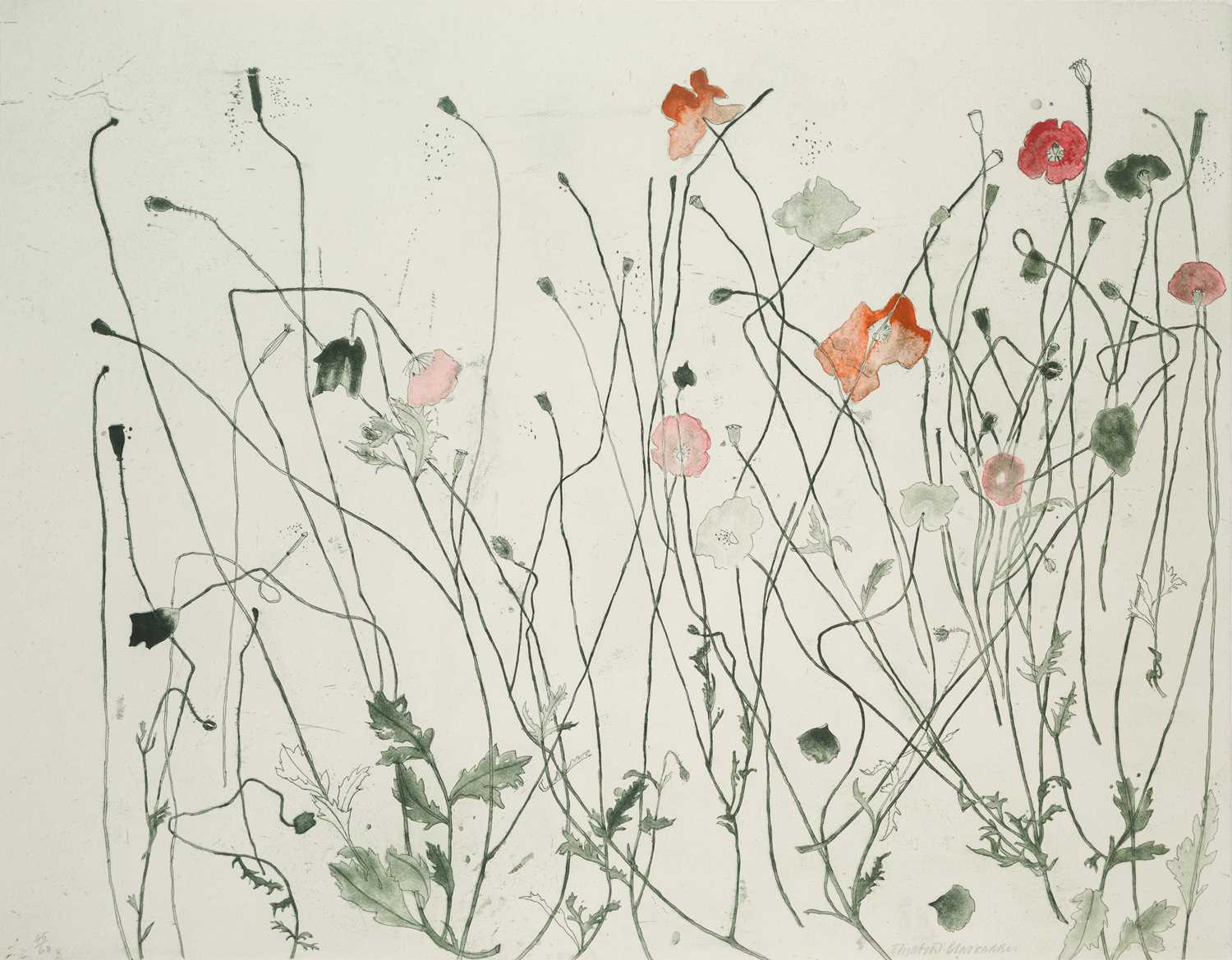 Lot 497 - ELIZABETH BLACKADDER (BRITISH 1931-2021)