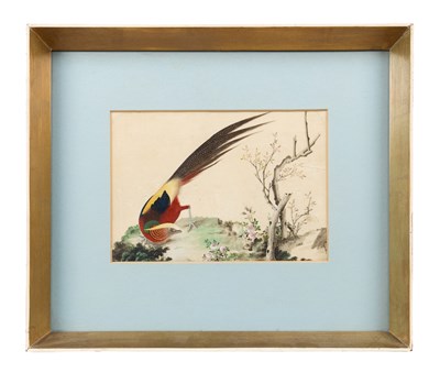 Lot 88 - CHINESE SCHOOL, THREE PITH PAPER PAINTINGS OF BIRDS, QING DYNASTY, CIRCA 1840