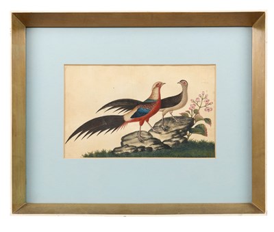Lot 88 - CHINESE SCHOOL, THREE PITH PAPER PAINTINGS OF BIRDS, QING DYNASTY, CIRCA 1840