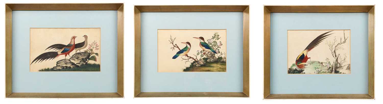 Lot 88 - CHINESE SCHOOL, THREE PITH PAPER PAINTINGS OF BIRDS, QING DYNASTY, CIRCA 1840