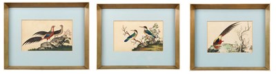Lot 88 - CHINESE SCHOOL, THREE PITH PAPER PAINTINGS OF BIRDS, QING DYNASTY, CIRCA 1840
