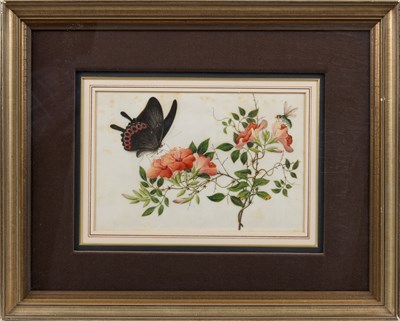Lot 81 - CHINESE SCHOOL, TWELVE EXPORT PAINTINGS OF BUTTERFLIES AND FLOWERS