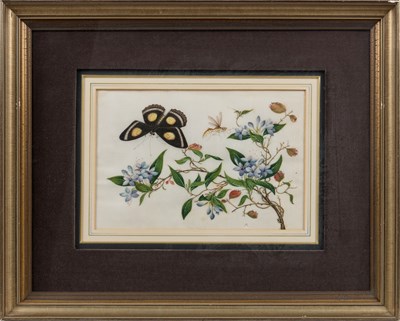 Lot 81 - CHINESE SCHOOL, TWELVE EXPORT PAINTINGS OF BUTTERFLIES AND FLOWERS