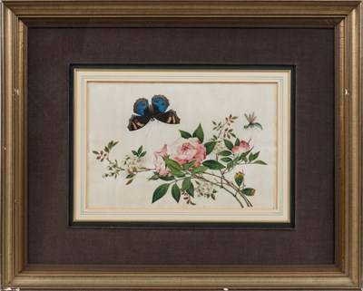 Lot 81 - CHINESE SCHOOL, TWELVE EXPORT PAINTINGS OF BUTTERFLIES AND FLOWERS