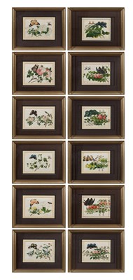 Lot 81 - CHINESE SCHOOL, TWELVE EXPORT PAINTINGS OF BUTTERFLIES AND FLOWERS