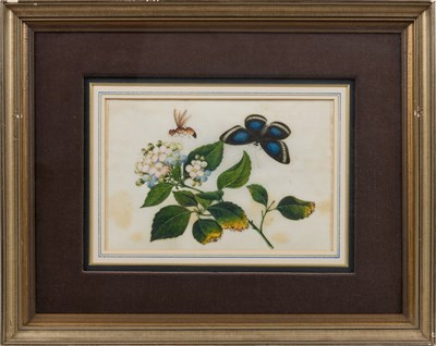 Lot 81 - CHINESE SCHOOL, TWELVE EXPORT PAINTINGS OF BUTTERFLIES AND FLOWERS