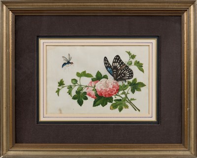Lot 81 - CHINESE SCHOOL, TWELVE EXPORT PAINTINGS OF BUTTERFLIES AND FLOWERS