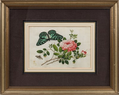 Lot 81 - CHINESE SCHOOL, TWELVE EXPORT PAINTINGS OF BUTTERFLIES AND FLOWERS